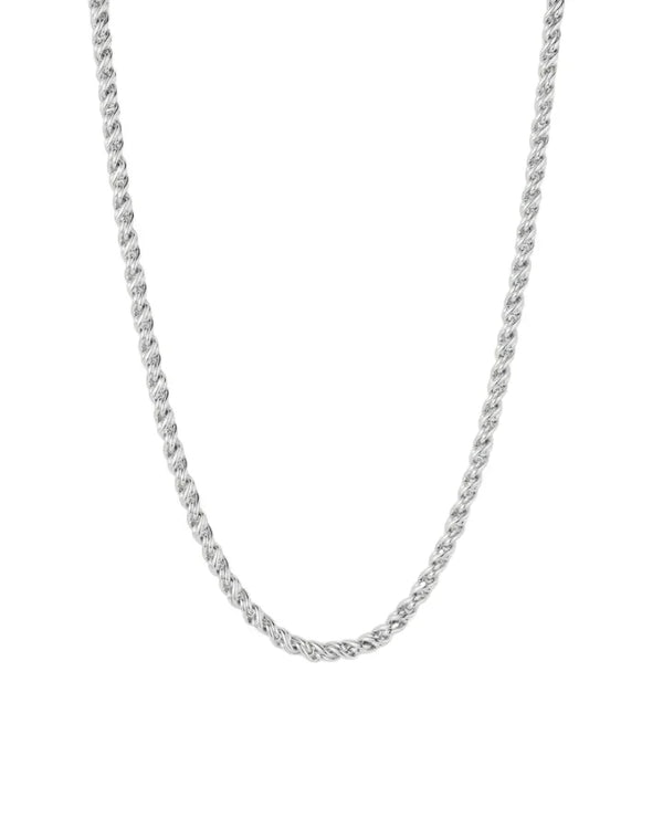 Jenny Bird Rizzo 20" Silver Chain Necklace