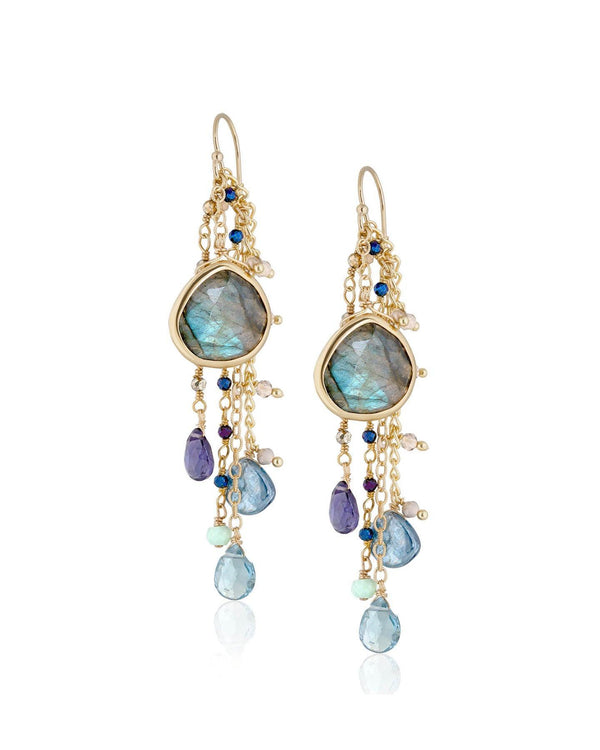 Ela Rae - Fishhook Labradorite Cluster Dangle Earrings